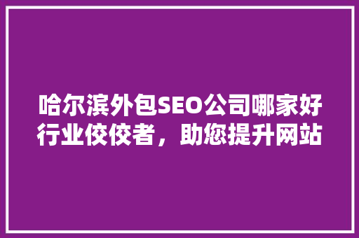 哈尔滨外包SEO公司哪家好行业佼佼者，助您提升网站排名