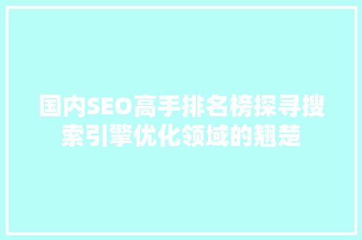 国内SEO高手排名榜探寻搜索引擎优化领域的翘楚