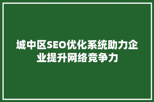 城中区SEO优化系统助力企业提升网络竞争力