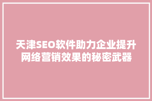 天津SEO软件助力企业提升网络营销效果的秘密武器