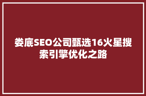 娄底SEO公司甄选16火星搜索引擎优化之路