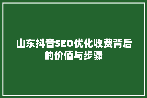 山东抖音SEO优化收费背后的价值与步骤