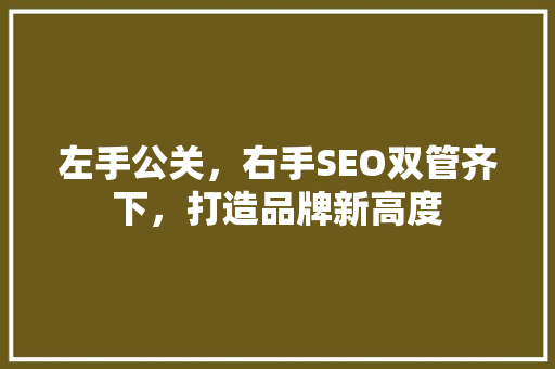 左手公关，右手SEO双管齐下，打造品牌新高度