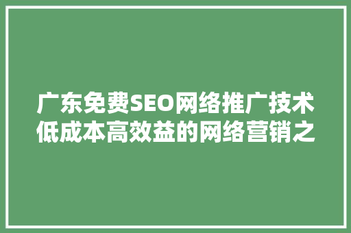 广东免费SEO网络推广技术低成本高效益的网络营销之路