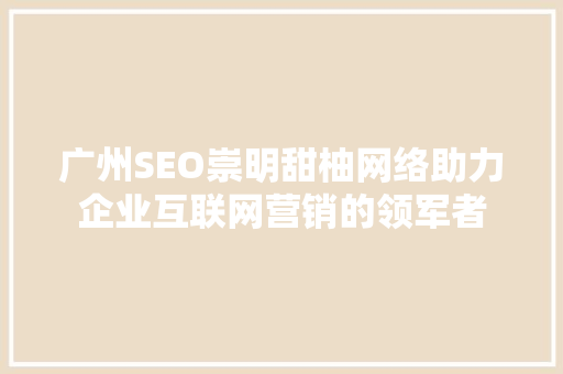 广州SEO崇明甜柚网络助力企业互联网营销的领军者
