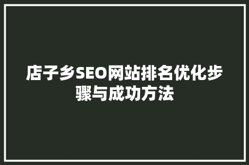 店子乡SEO网站排名优化步骤与成功方法