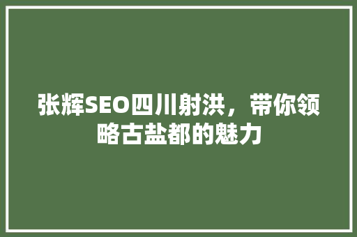 张辉SEO四川射洪，带你领略古盐都的魅力