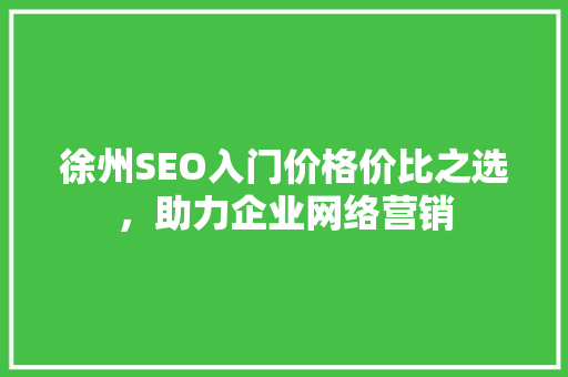 徐州SEO入门价格价比之选，助力企业网络营销