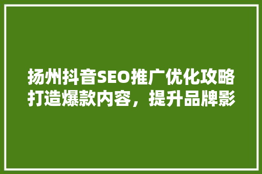 扬州抖音SEO推广优化攻略打造爆款内容，提升品牌影响力