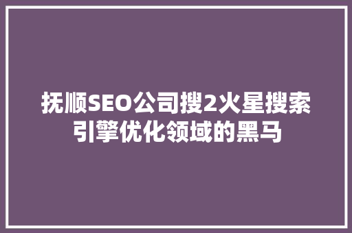 抚顺SEO公司搜2火星搜索引擎优化领域的黑马