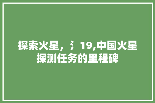 探索火星，氵19,中国火星探测任务的里程碑