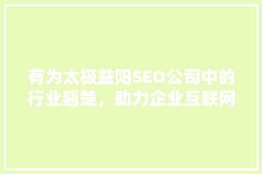 有为太极益阳SEO公司中的行业翘楚，助力企业互联网营销腾飞