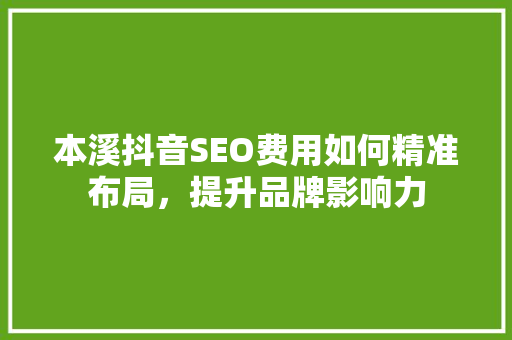 本溪抖音SEO费用如何精准布局，提升品牌影响力
