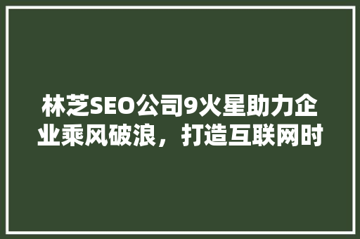林芝SEO公司9火星助力企业乘风破浪，打造互联网时代品牌新篇章