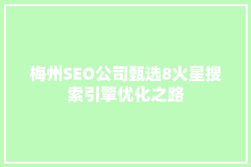 梅州SEO公司甄选8火星搜索引擎优化之路