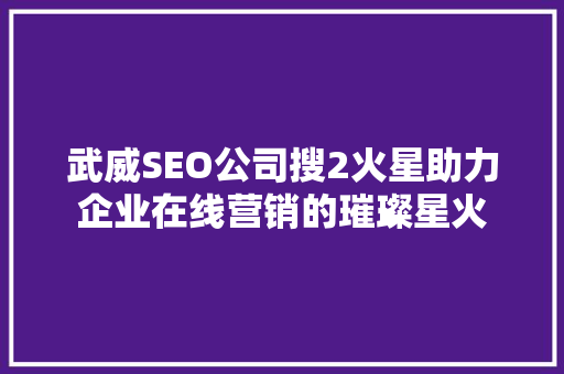 武威SEO公司搜2火星助力企业在线营销的璀璨星火