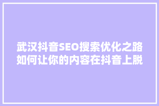 武汉抖音SEO搜索优化之路如何让你的内容在抖音上脱颖而出