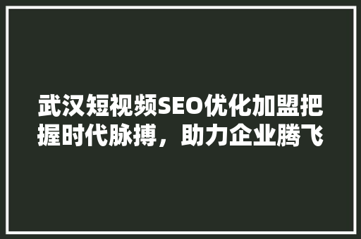 武汉短视频SEO优化加盟把握时代脉搏，助力企业腾飞