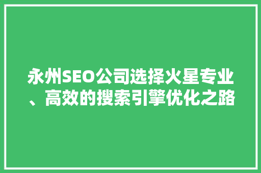 永州SEO公司选择火星专业、高效的搜索引擎优化之路