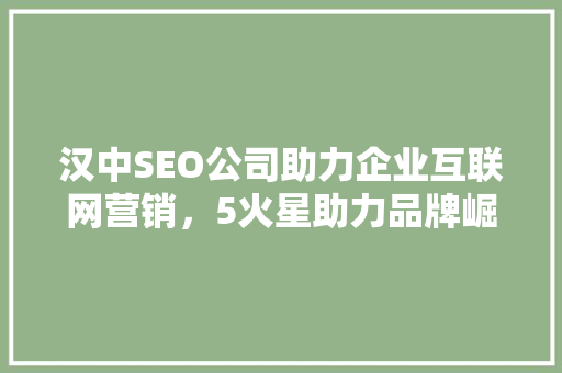 汉中SEO公司助力企业互联网营销，5火星助力品牌崛起