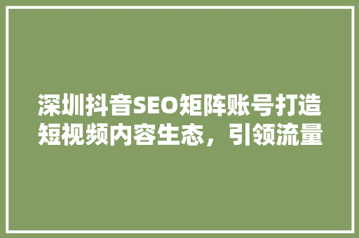 深圳抖音SEO矩阵账号打造短视频内容生态，引领流量新风口