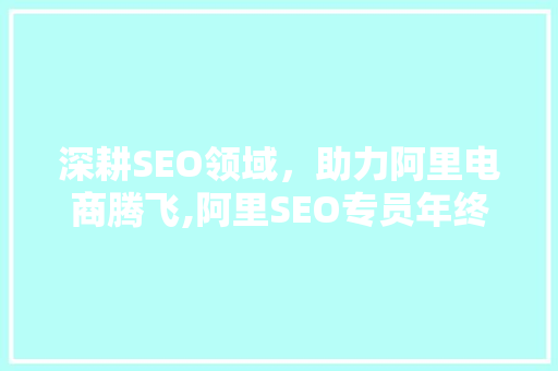 深耕SEO领域，助力阿里电商腾飞,阿里SEO专员年终总结  第1张