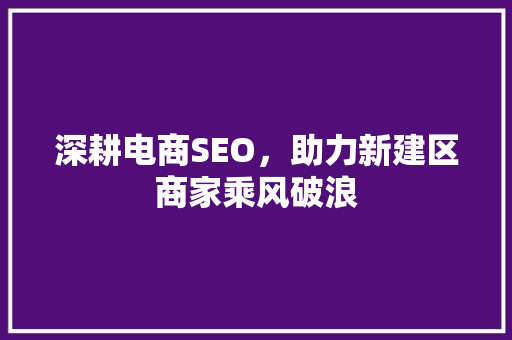 深耕电商SEO，助力新建区商家乘风破浪