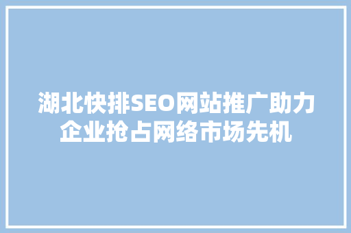 湖北快排SEO网站推广助力企业抢占网络市场先机