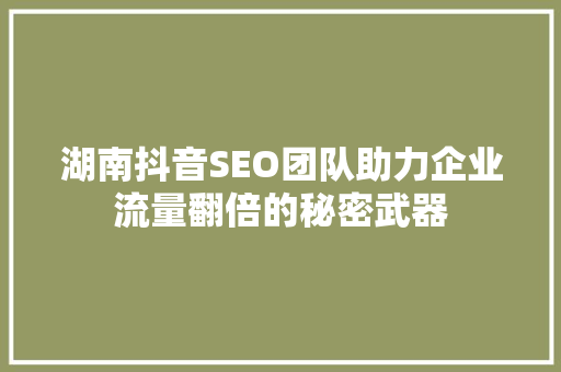 湖南抖音SEO团队助力企业流量翻倍的秘密武器