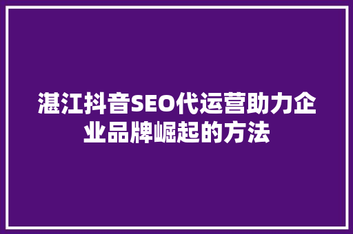 湛江抖音SEO代运营助力企业品牌崛起的方法