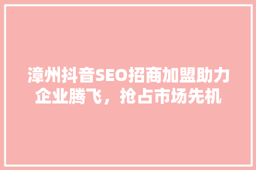 漳州抖音SEO招商加盟助力企业腾飞，抢占市场先机