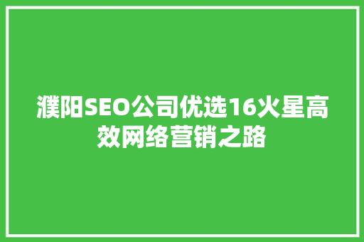 濮阳SEO公司优选16火星高效网络营销之路