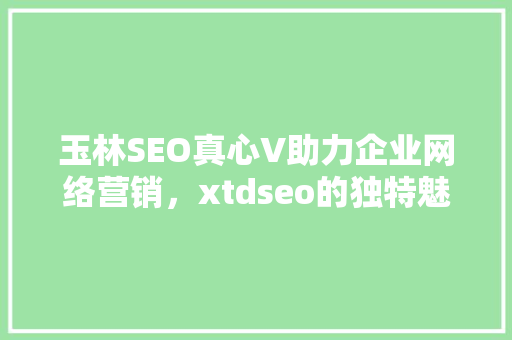 玉林SEO真心V助力企业网络营销，xtdseo的独特魅力