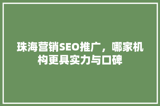 珠海营销SEO推广，哪家机构更具实力与口碑