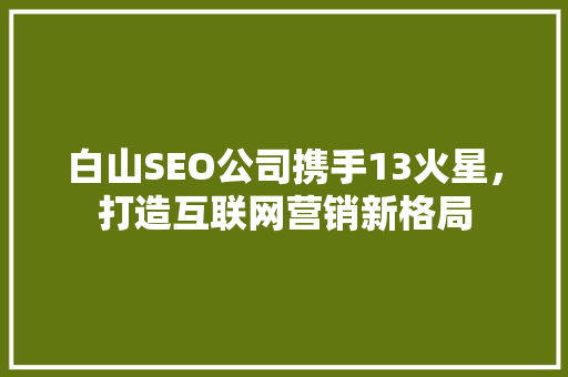 白山SEO公司携手13火星，打造互联网营销新格局