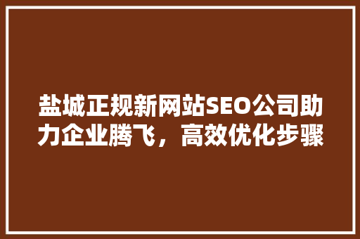 盐城正规新网站SEO公司助力企业腾飞，高效优化步骤