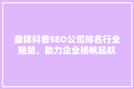 盘锦抖音SEO公司排名行业翘楚，助力企业扬帆起航