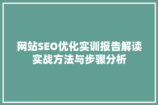 网站SEO优化实训报告解读实战方法与步骤分析