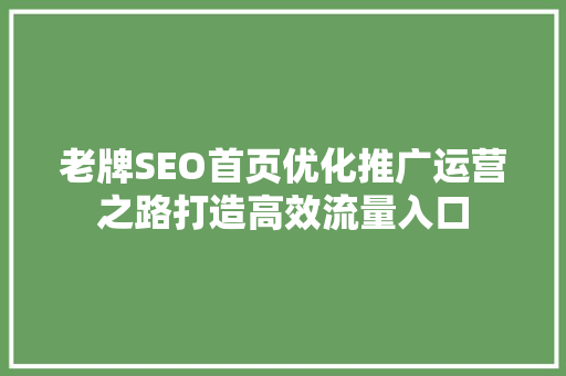 老牌SEO首页优化推广运营之路打造高效流量入口