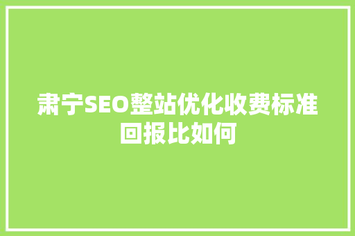 肃宁SEO整站优化收费标准回报比如何