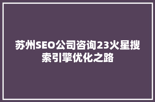 苏州SEO公司咨询23火星搜索引擎优化之路