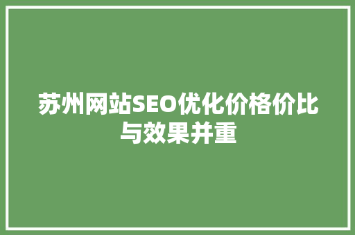 苏州网站SEO优化价格价比与效果并重