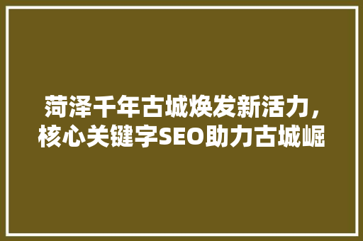 菏泽千年古城焕发新活力，核心关键字SEO助力古城崛起