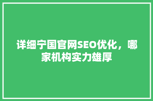 详细宁国官网SEO优化，哪家机构实力雄厚