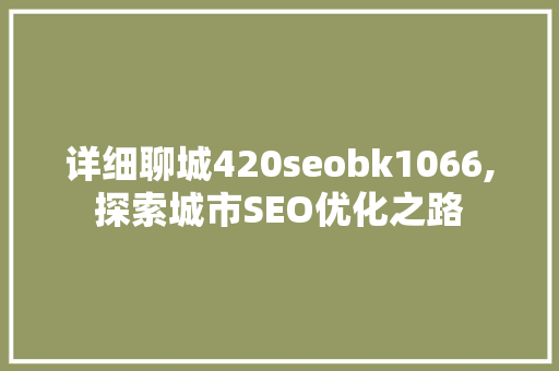 详细聊城420seobk1066,探索城市SEO优化之路