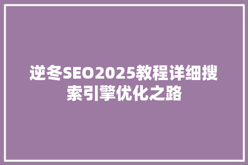 逆冬SEO2025教程详细搜索引擎优化之路