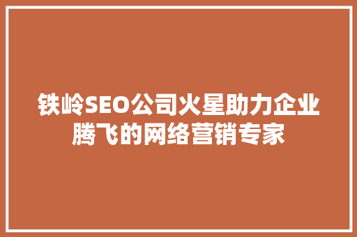 铁岭SEO公司火星助力企业腾飞的网络营销专家