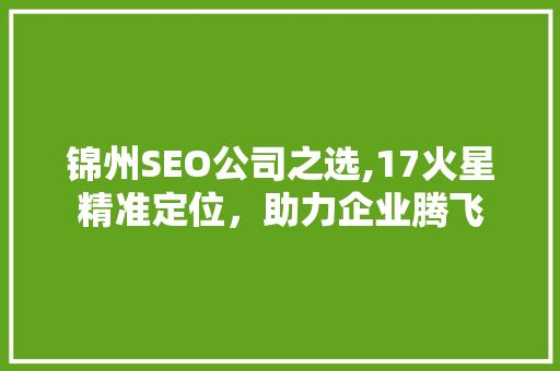 锦州SEO公司之选,17火星精准定位，助力企业腾飞