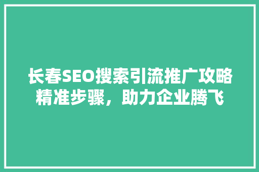 长春SEO搜索引流推广攻略精准步骤，助力企业腾飞