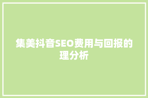 集美抖音SEO费用与回报的理分析